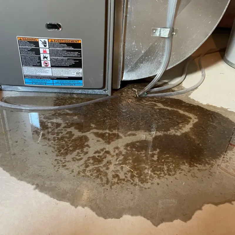 Appliance Leak Cleanup in Shafter, CA