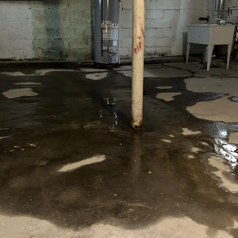 Emergency Water Extraction And Removal in Shafter, CA